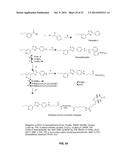 Compositions and Methods for the Treatment of Metabolic Disorders diagram and image