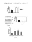 Compositions and Methods for the Treatment of Metabolic Disorders diagram and image