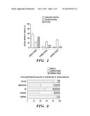 COMPOSITION AND METHOD FOR MUSCLE REPAIR AND REGENERATION diagram and image