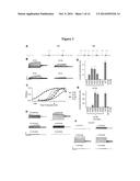 KCNQ CHANNELS AS THERAPEUTIC TARGETS diagram and image