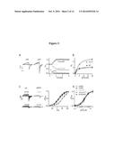 KCNQ CHANNELS AS THERAPEUTIC TARGETS diagram and image