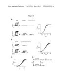 KCNQ CHANNELS AS THERAPEUTIC TARGETS diagram and image