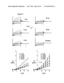 KCNQ CHANNELS AS THERAPEUTIC TARGETS diagram and image