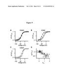 KCNQ CHANNELS AS THERAPEUTIC TARGETS diagram and image