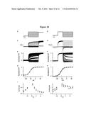 KCNQ CHANNELS AS THERAPEUTIC TARGETS diagram and image