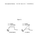 KCNQ CHANNELS AS THERAPEUTIC TARGETS diagram and image