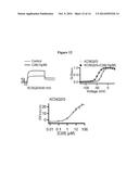 KCNQ CHANNELS AS THERAPEUTIC TARGETS diagram and image