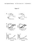 KCNQ CHANNELS AS THERAPEUTIC TARGETS diagram and image