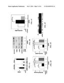 METHODS FOR THE MODULATION OF ANGIOGENESIS diagram and image