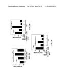 METHODS FOR THE MODULATION OF ANGIOGENESIS diagram and image