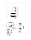 METHODS FOR THE MODULATION OF ANGIOGENESIS diagram and image