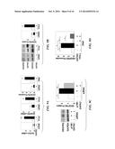 METHODS FOR THE MODULATION OF ANGIOGENESIS diagram and image