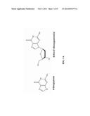 TELOMERASE MEDIATED TELOMERE ALTERING COMPOUNDS diagram and image