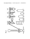 REDUCTION OF OFF-TARGET RNA INTERFERENCE TOXICITY diagram and image