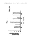 REDUCTION OF OFF-TARGET RNA INTERFERENCE TOXICITY diagram and image