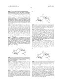 Preparation and Use of Isolactosamine and Intermediates therefor diagram and image