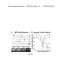 MAGNETIC RESONANCE IMAGING FOR DETECTING CARDIAC DISEASES diagram and image