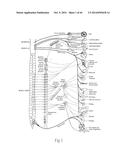 MULTI-DIRECTIONAL DEFLECTABLE CATHETER APPARATUSES, SYSTEMS, AND METHODS     FOR RENAL NEUROMODULATION diagram and image