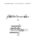 Expandable Fusion Device and Method of Installation Thereof diagram and image