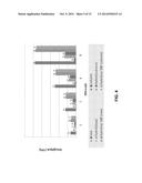 Hybrid Database Table Stored as Both Row and Column Store diagram and image