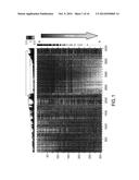 ALZHEIMER S DISEASE SIGNATURE MARKERS AND METHODS OF USE diagram and image