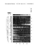 ALZHEIMER S DISEASE SIGNATURE MARKERS AND METHODS OF USE diagram and image