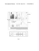 NOVEL PPETAC1 GENE AND METHOD TO MANIPULATE TREE ARCHITECTURE diagram and image