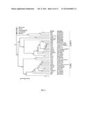 NOVEL PPETAC1 GENE AND METHOD TO MANIPULATE TREE ARCHITECTURE diagram and image