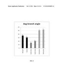 NOVEL PPETAC1 GENE AND METHOD TO MANIPULATE TREE ARCHITECTURE diagram and image