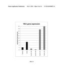 NOVEL PPETAC1 GENE AND METHOD TO MANIPULATE TREE ARCHITECTURE diagram and image