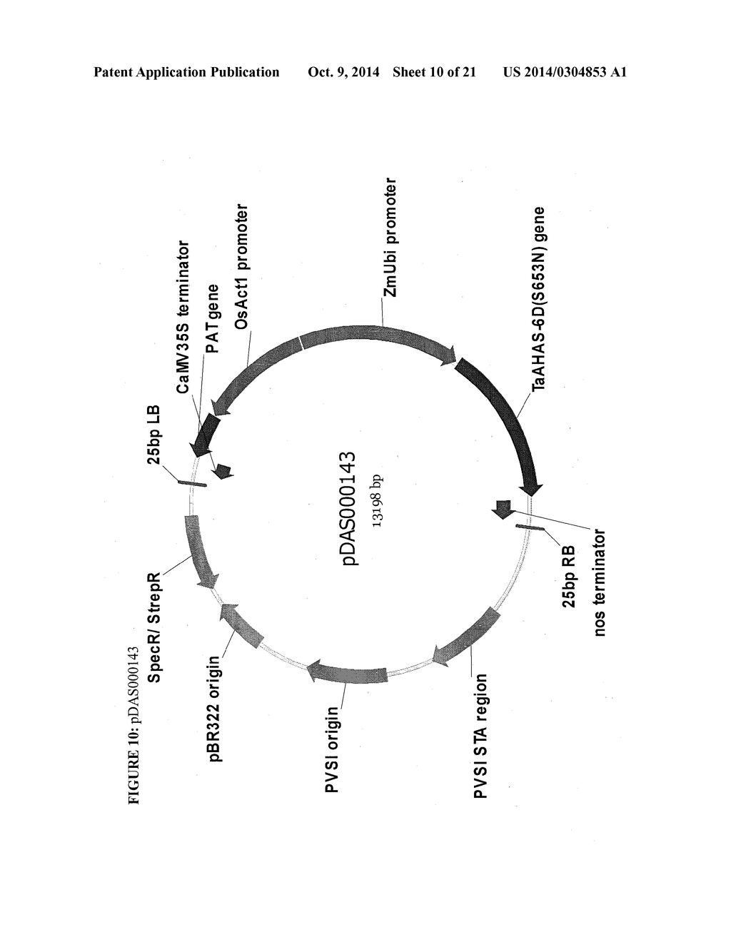 METHODS AND COMPOSITIONS FOR INTEGRATION OF AN EXOGENOUS SEQUENCE WITHIN     THE GENOME OF PLANTS - diagram, schematic, and image 11