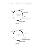 Polypeptides Having Endoglucanase Activity and Polynucleotides Encoding     Same diagram and image