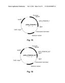 Polypeptides Having Endoglucanase Activity and Polynucleotides Encoding     Same diagram and image