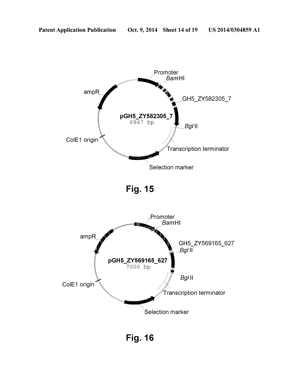 Polypeptides Having Endoglucanase Activity and Polynucleotides Encoding     Same - diagram, schematic, and image 15