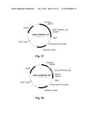 Polypeptides Having Endoglucanase Activity and Polynucleotides Encoding     Same diagram and image