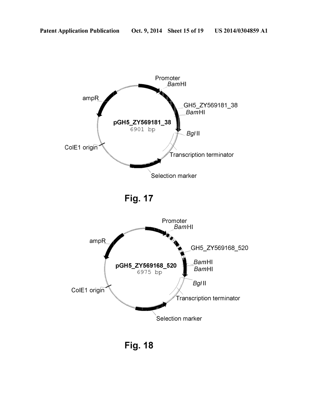 Polypeptides Having Endoglucanase Activity and Polynucleotides Encoding     Same - diagram, schematic, and image 16