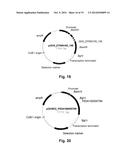 Polypeptides Having Endoglucanase Activity and Polynucleotides Encoding     Same diagram and image