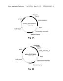 Polypeptides Having Endoglucanase Activity and Polynucleotides Encoding     Same diagram and image