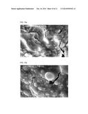 METHOD FOR IN-SITU MANUFACTURE OF A LIGHTWEIGHT FLY ASH BASED AGGREGATE diagram and image