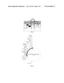 PENICILLIUM AMAGASAKIENSE GLUCOSE OXIDASE MUTANTS diagram and image