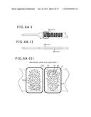 Composite Molded Body of Metal Member and Molded Resin Member, and Surface     Processing Method of Metal Member diagram and image