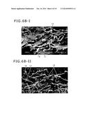 Composite Molded Body of Metal Member and Molded Resin Member, and Surface     Processing Method of Metal Member diagram and image