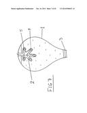 WATERING DEVICE INCORPORATING A LIGHT SOURCE diagram and image