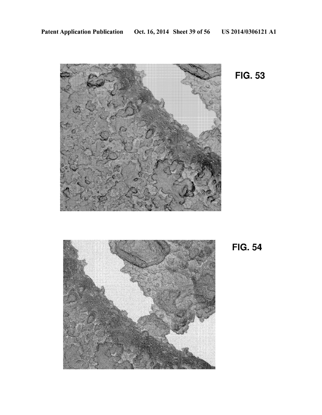 ION SOURCES, SYSTEMS AND METHODS - diagram, schematic, and image 40