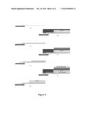 Double-Sided Organic Light-Emitting Diode, and Manufacturing Method and     Display Device Thereof diagram and image