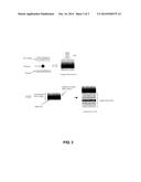 RESIN MOLD diagram and image