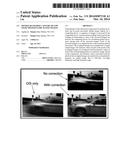 MOTION BLUR-FREE CAPTURE OF LOW LIGHT HIGH DYNAMIC RANGE IMAGES diagram and image