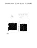 OPTICAL ANALYTE MEASUREMENT diagram and image