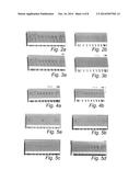 VERTICAL ELECTROCHROMIC DISPLAY diagram and image