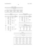 ZOOM LENS AND IMAGING APPARATUS diagram and image